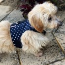 Easyfit Dog Harness - Size M